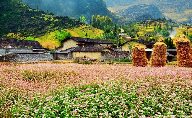 Thung lũng Sủng Là - Nơi đá nở hoa ảnh 3 Thung lũng Sủng Là - Nơi đá nở hoa ảnh 3