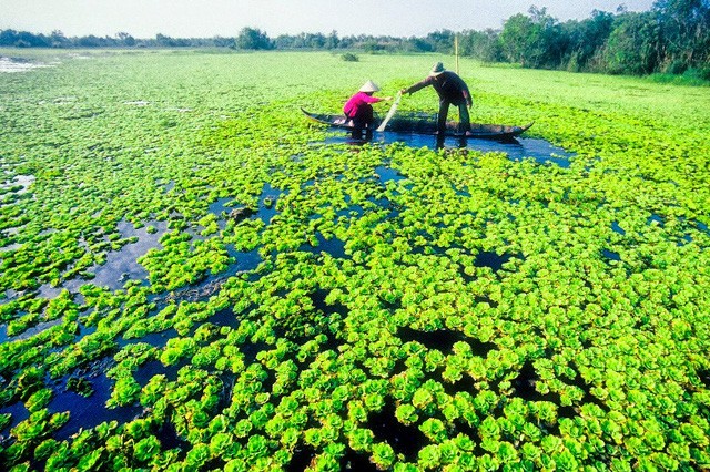 8 điểm đến ở Việt Nam cho người thích đi du lịch một mình ảnh 8 8 điểm đến ở Việt Nam cho người thích đi du lịch một mình ảnh 8