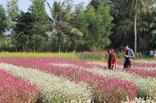 Năm điểm ăn chơi ở Tiền Giang cho chuyến đi ngắn ngày ảnh 5 Năm điểm ăn chơi ở Tiền Giang cho chuyến đi ngắn ngày ảnh 5