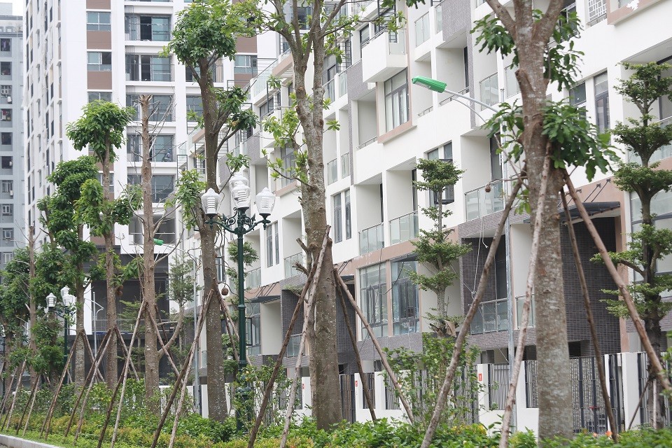 Nhịp sống mới đang rộn ràng tại Mon City ảnh 2