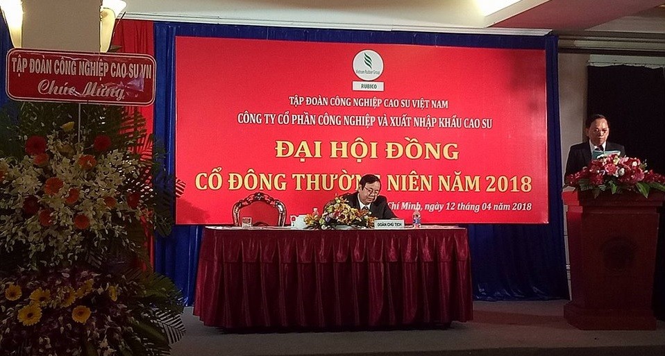 Năm 2018, Cao su Rubico tự tin thoát khỏi lỗ lũy kế ảnh 1