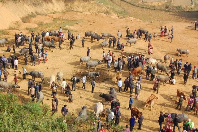 Chợ trâu Cán Cấu nằm ở huyện biên giới Si Ma Cai (tỉnh Lào Cai) là chợ trâu lớn nhất vùng Tây Bắc. Chợ họp vào thứ 5 hàng tuần. Chợ trâu Cán Cấu nằm ở huyện biên giới Si Ma Cai (tỉnh Lào Cai) là chợ trâu lớn nhất vùng Tây Bắc. Chợ họp vào thứ 5 hàng tuần.