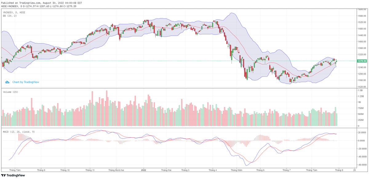 Biểu đồ kỹ thuật VN-Index.