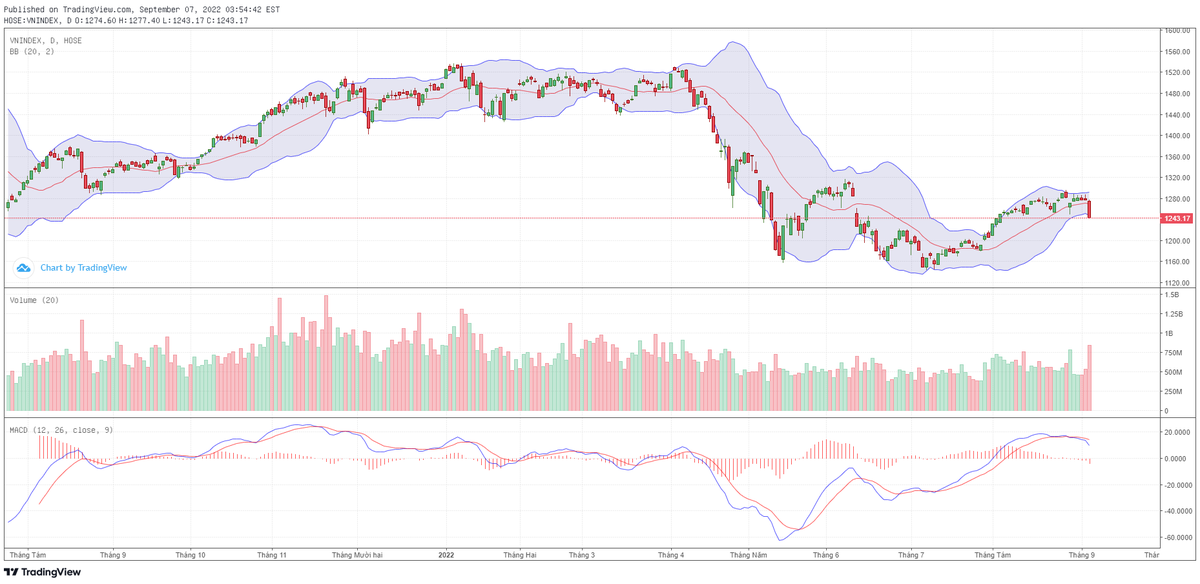 Biểu đồ kỹ thuật VN-Index. Biểu đồ kỹ thuật VN-Index.