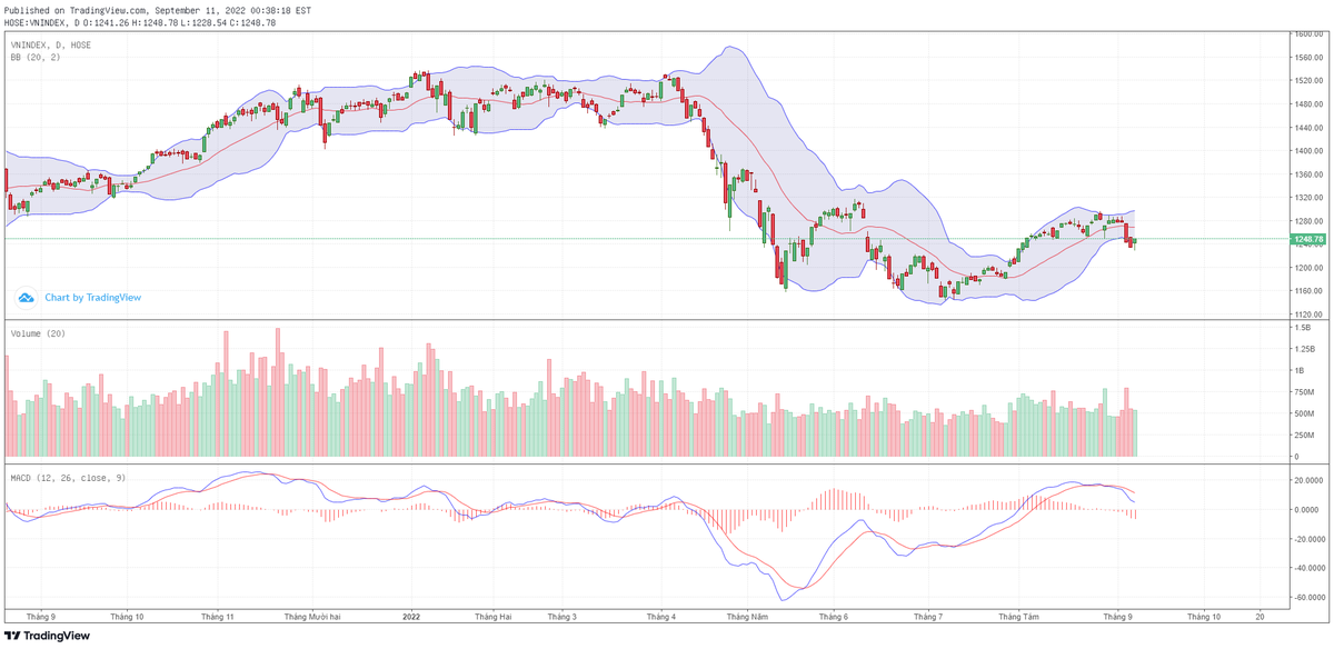 Biểu đồ kỹ thuật VN-Index.