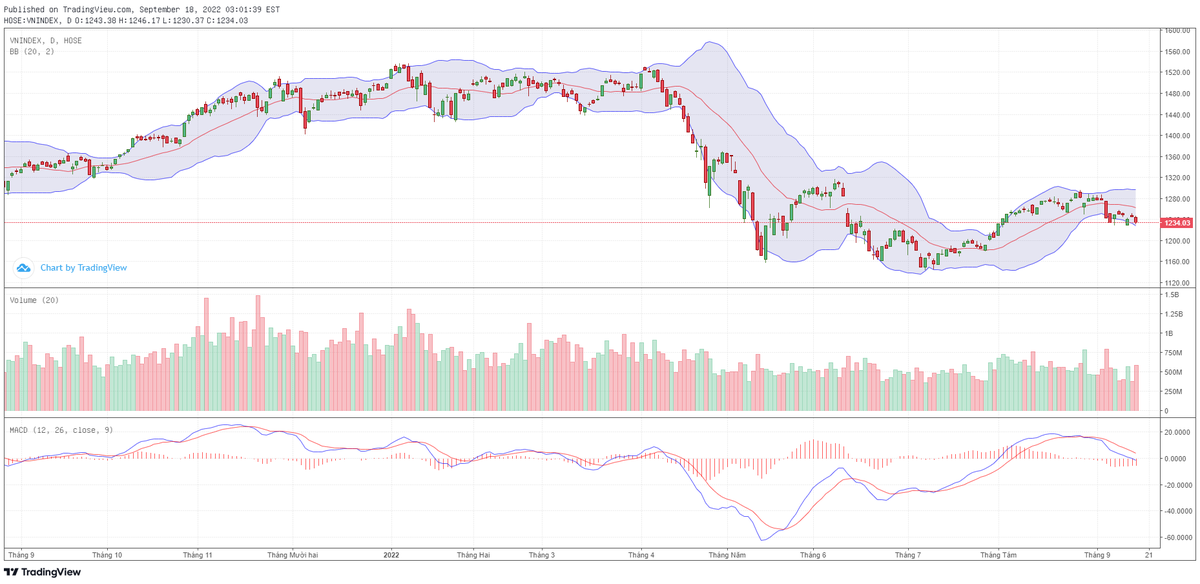Biểu đồ kỹ thuật VN-Index. Biểu đồ kỹ thuật VN-Index.