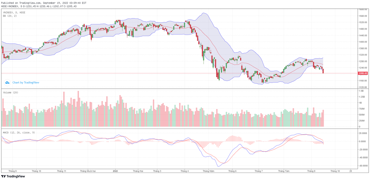 Biểu đồ kỹ thuật VN-Index. Biểu đồ kỹ thuật VN-Index.