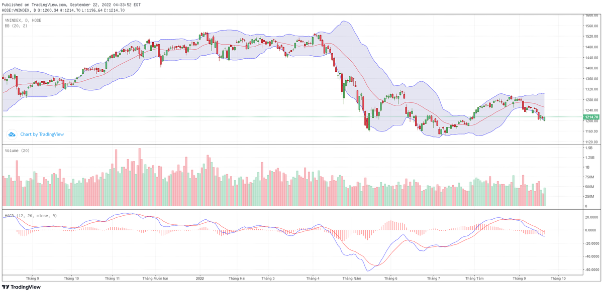 Biểu đồ kỹ thuật VN-Index. Biểu đồ kỹ thuật VN-Index.