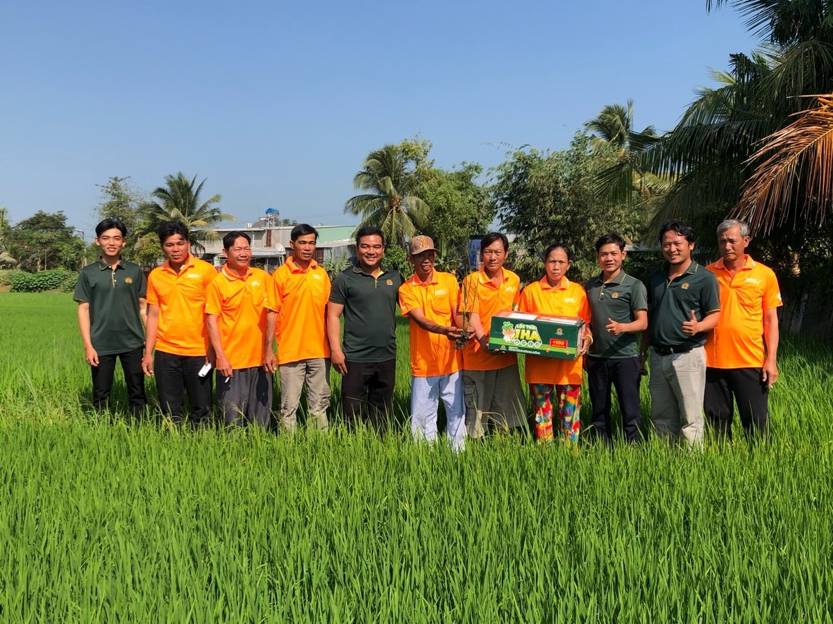 Lộc Trời cùng nông dân ra đồng và áp dụng bộ giải pháp canh tác Lộc Trời T1H giúp nâng cao hiệu quả mùa vụ cho bà con.