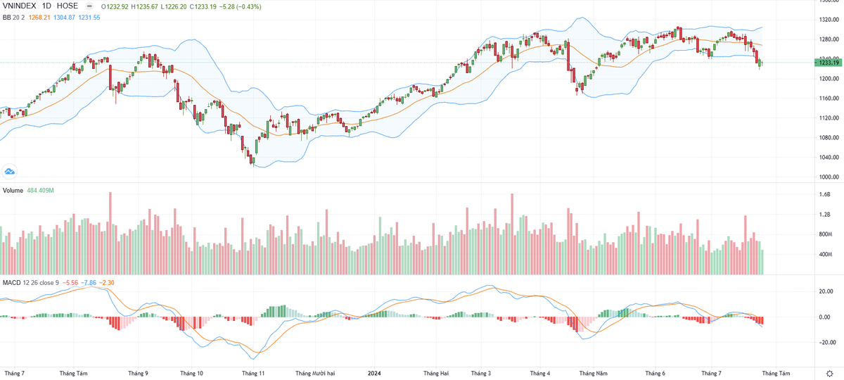 Biểu đồ kỹ thuật VN-Index.