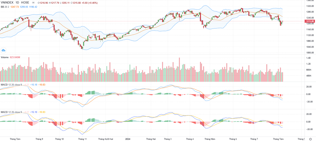 Biểu đồ kỹ thuật VN-Index.