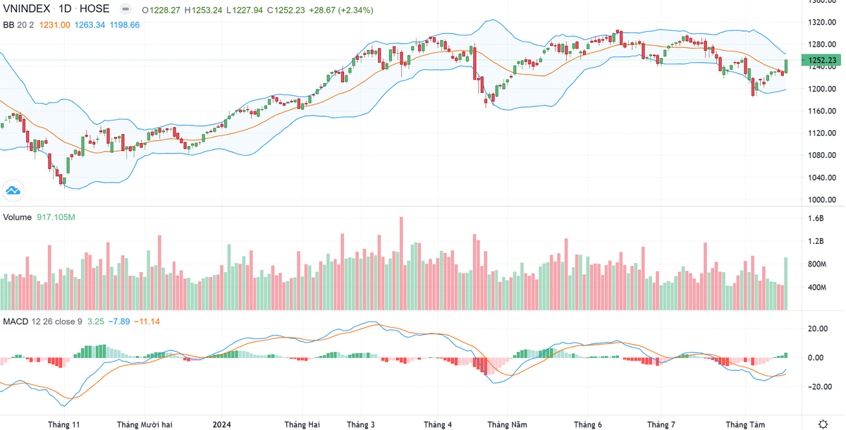 Biểu đồ kỹ thuật VN-Index.
