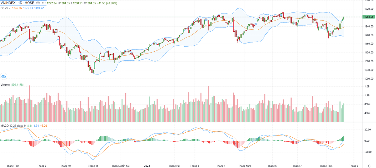 Biểu đồ kỹ thuật VN-Index.