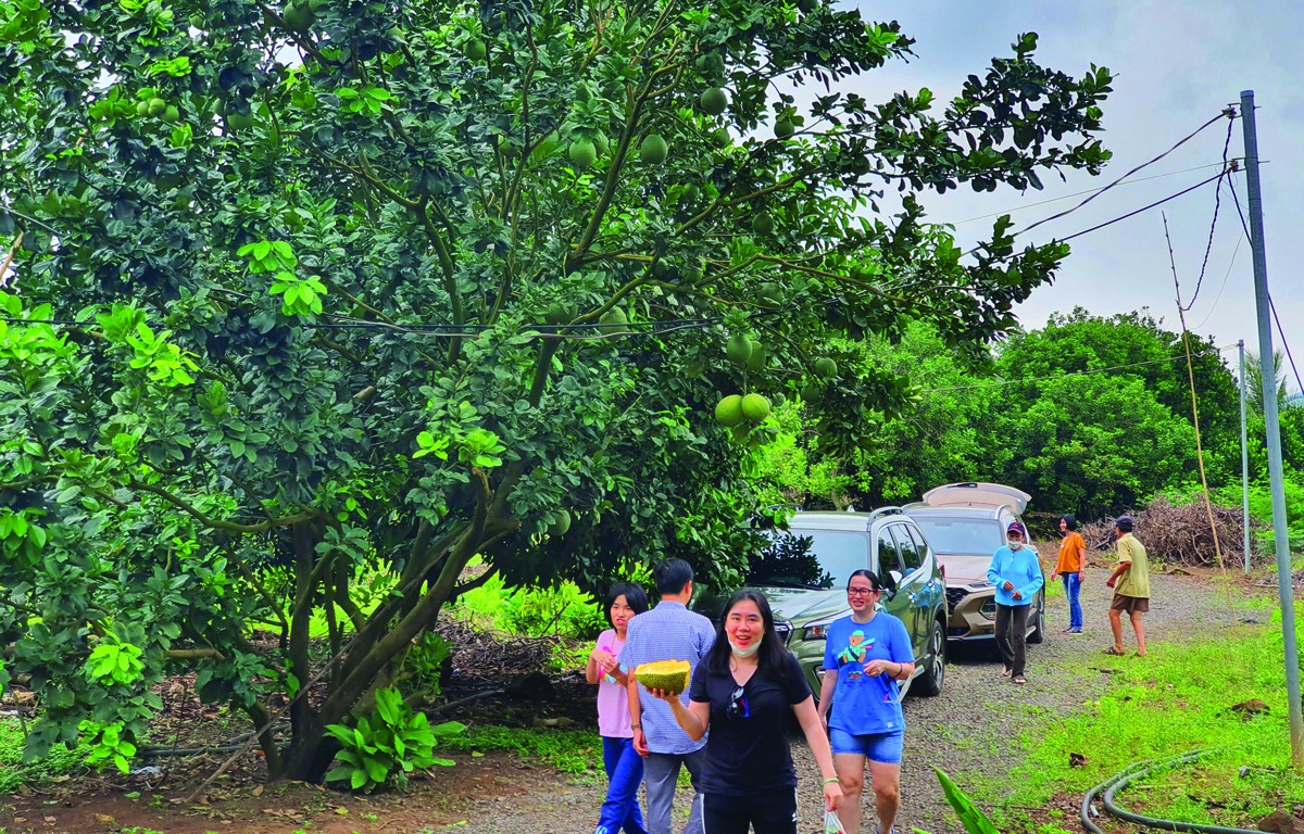 … rồi trở thành người làm vườn trên mảnh đất của mình