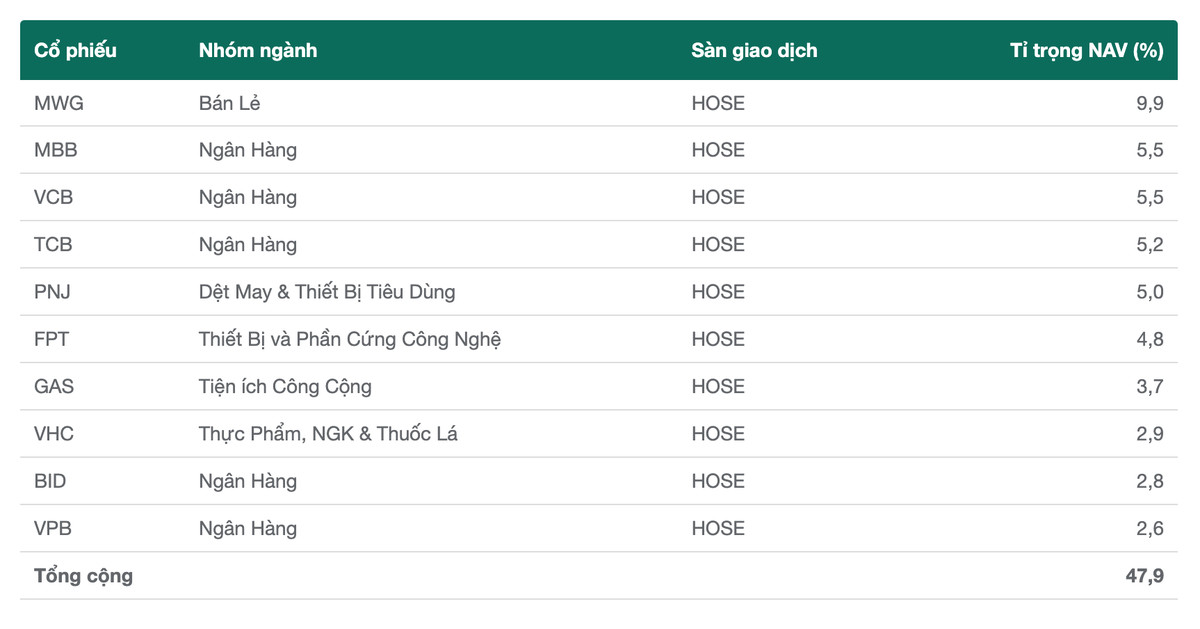 Top 10 cổ phiếu chiểm tỷ trọng lớn nhất trong danh mục của DCDS