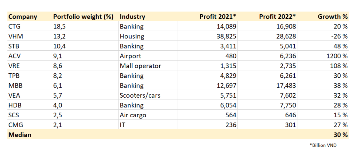 Diễn biến tăng trưởng lợi nhuận của các doanh nghiệp chiếm tỷ trọng lớn nhất danh mục của PYN Elite năm 2022