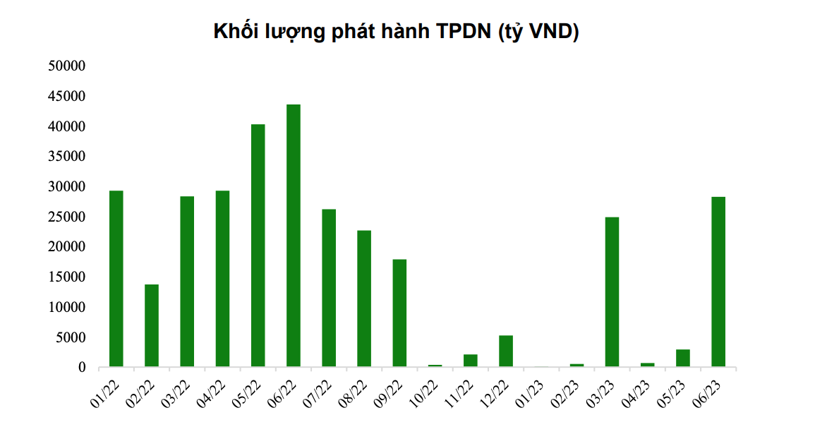 Lượng phát hành trái phiếu doanh nghiệp qua các tháng kể từ đầu năm 2022 tới nay