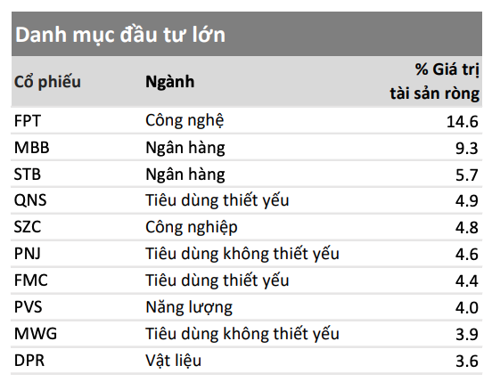 Các cổ phiếu chiếm tỷ trọng lớn trong danh mục đầu tư của VESAF