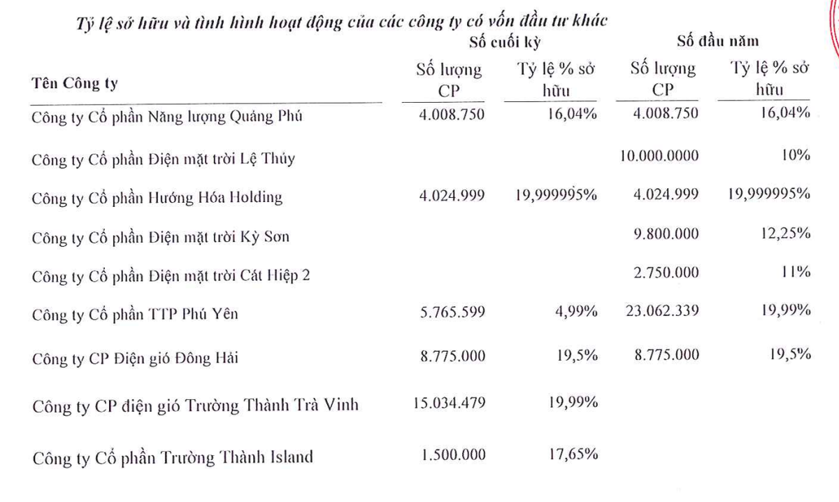 Tình hình các khoản đầu tư góp vốn của TEG tính tới cuối quý II/2024