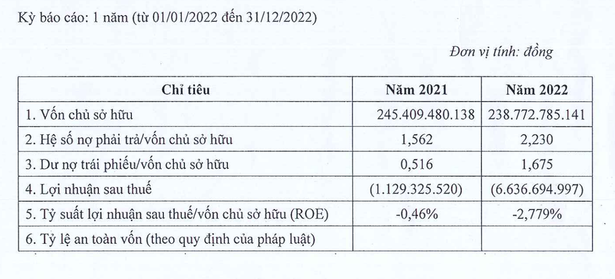 Thông tin tài chính của Đầu tư Phúc Hậu nửa đầu năm 2024 Thông tin tài chính của Đầu tư Phúc Hậu nửa đầu năm 2024