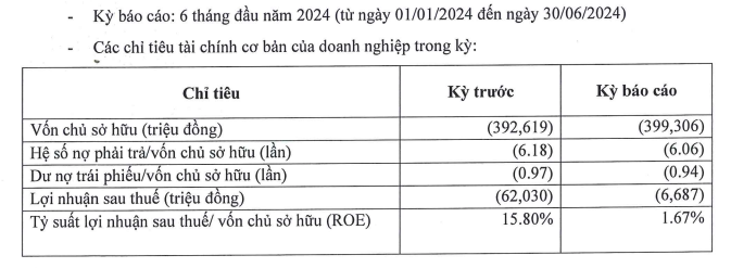 Thông tin tài chính nửa đầu năm của Cotec Asia