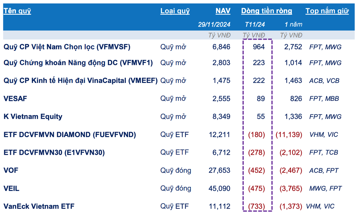 Top vào/rút ròng theo từng loại loại hình quỹ trong tháng 11/2024