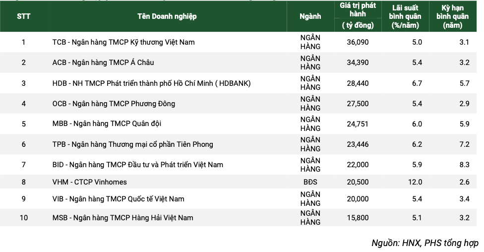 Top 10 các doanh nghiệp có giá trị phát hành lớn nhất trong năm 2024