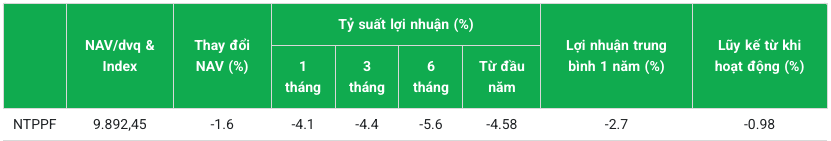 Hiệu quả hoạt động của NTPPF tính tới cuối năm 2024