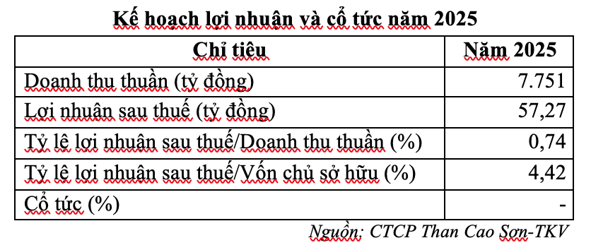 Kế hoạch năm 2025 của CST Kế hoạch năm 2025 của CST