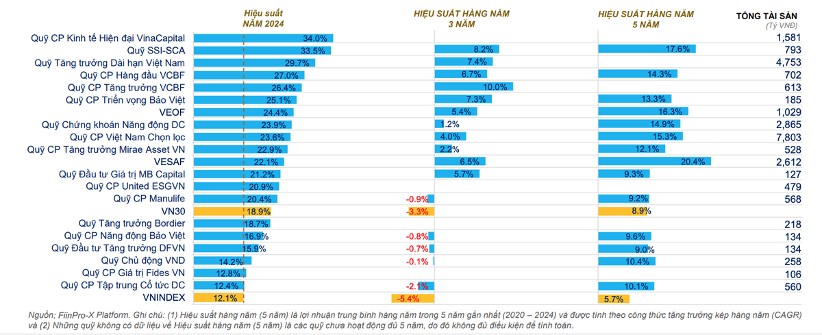 Top 20 quỹ đầu tư cổ phiếu có hiệu suất tốt nhất trong năm 2024 (chỉ tính quỹ có NAV lớn hơn 100 tỷ đồng)