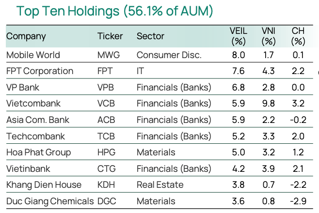 Top 10 khoản đầu tư chiếm tỷ trọng lớn nhất trong danh mục của VEIL tính tới cuối tháng 1/2025