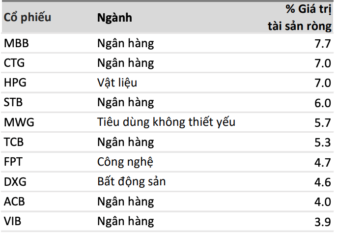 Danh mục đầu tư lớn của VEOF tính tới cuối tháng 5/2025 Danh mục đầu tư lớn của VEOF tính tới cuối tháng 5/2025