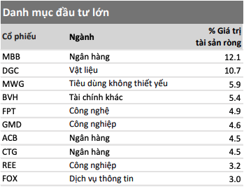 Danh mục đầu tư lớn của VESAF tính tới cuối tháng 11/2025