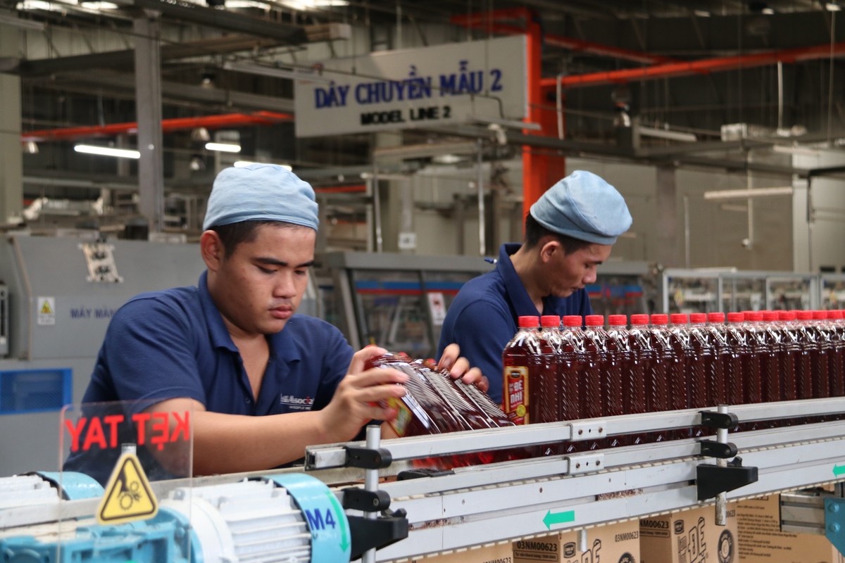 Dây chuyền sản xuất nước mắm Dây chuyền sản xuất nước mắm