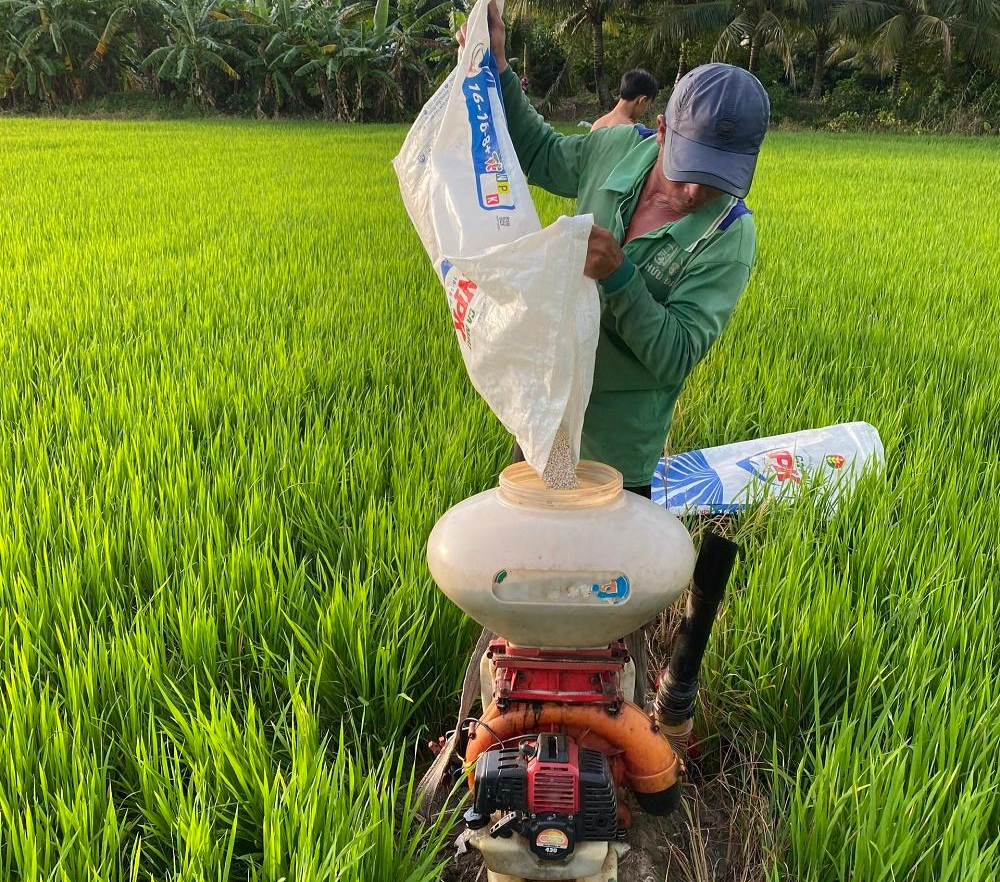 Phân bón Cà Mau triển khai nhiều chương trình đồng hành với nông dân Phân bón Cà Mau triển khai nhiều chương trình đồng hành với nông dân