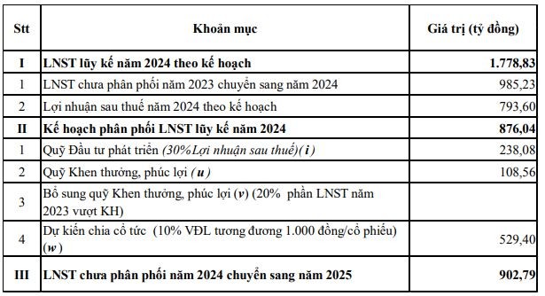 Kế hoạch phân phối lợi nhuận năm 2024 Kế hoạch phân phối lợi nhuận năm 2024