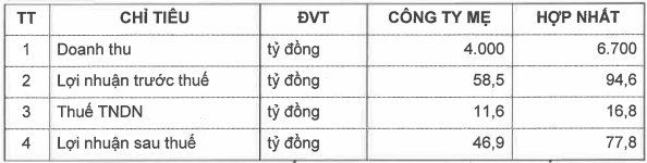 Kế hoạch sản xuất kinh doanh của Việt Đức VG PIPE năm 2025