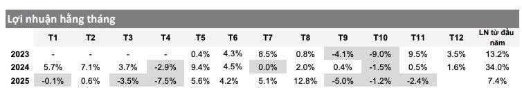 Hiệu suất đầu tư của quỹ VMEEF
