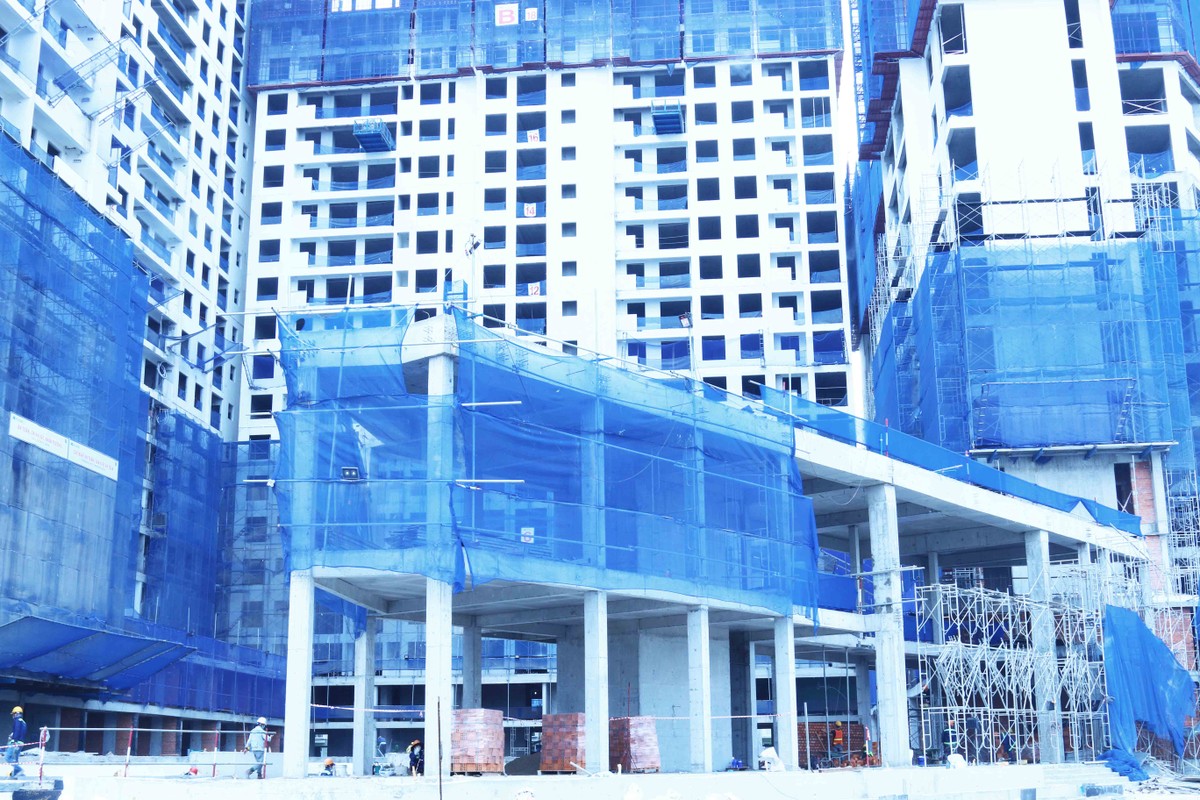 Jamila Khang Điền cất nóc vượt tiến độ 1 tháng ảnh 3 Jamila Khang Điền cất nóc vượt tiến độ 1 tháng ảnh 3