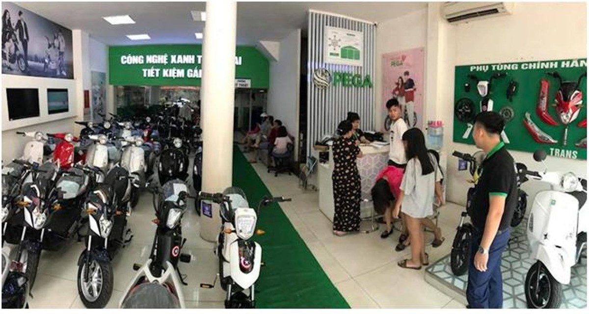Cơ hội kiếm tiền lớn với xe điện PEGA ảnh 3