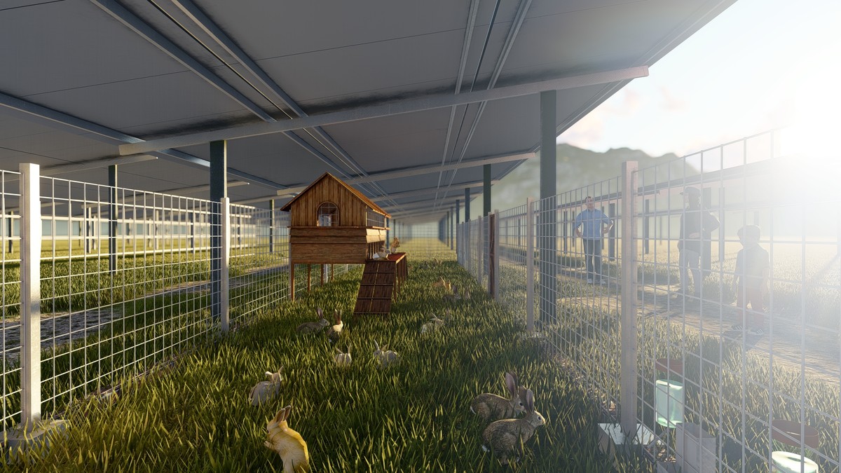 Du lịch Nông trại điện mặt trời Sao Mai hứa hẹn cho du khách nhiều trải nghiệm thú vị