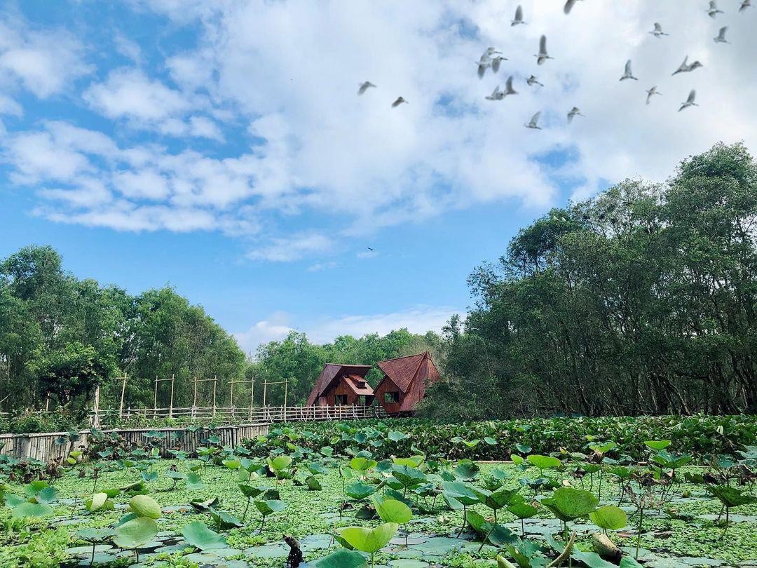 Rừng tràm Trà Sư là điểm đến xua tan những nốt “trầm”sau dịch. Rừng tràm Trà Sư là điểm đến xua tan những nốt “trầm”sau dịch.