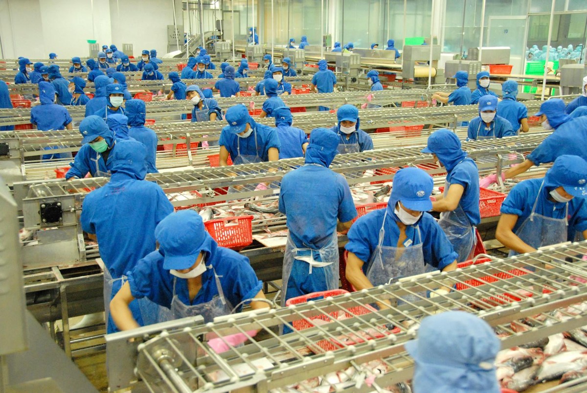 Lực lượng công nhân, nhà máy hoạt động “hết công suất” để đáp ứng các đơn hàng Tết cho các đối tác sắp tới. Lực lượng công nhân, nhà máy hoạt động “hết công suất” để đáp ứng các đơn hàng Tết cho các đối tác sắp tới.