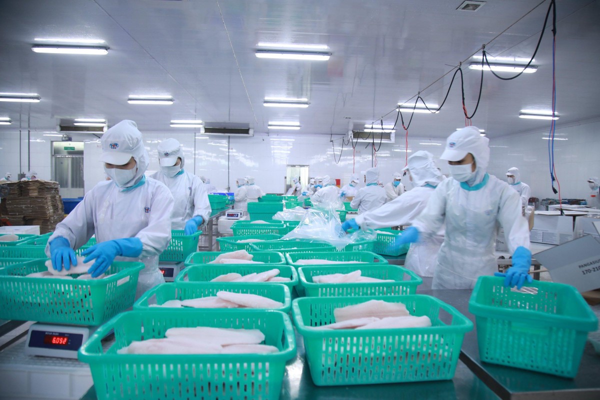 Khẩn trương trữ hàng.