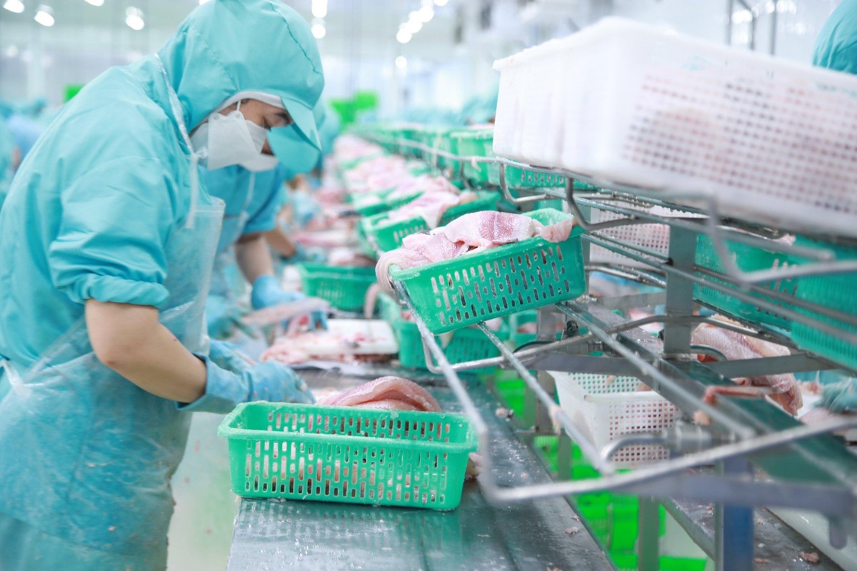 Năm 2022, IDI đặt mục tiêu tăng trưởng cao nhất trong lịch sử.