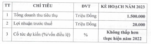Kế hoạch kinh doanh năm 2023 của Công ty cổ phần phân bón miền Nam.