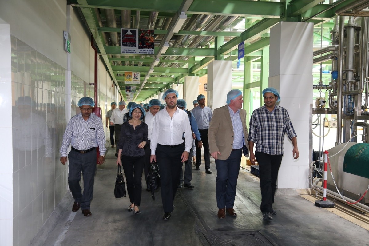 Các chuyên gia của Tập đoàn GEA thăm nhà máy nước giải khát của Tân Hiệp Phát. Các chuyên gia của Tập đoàn GEA thăm nhà máy nước giải khát của Tân Hiệp Phát.