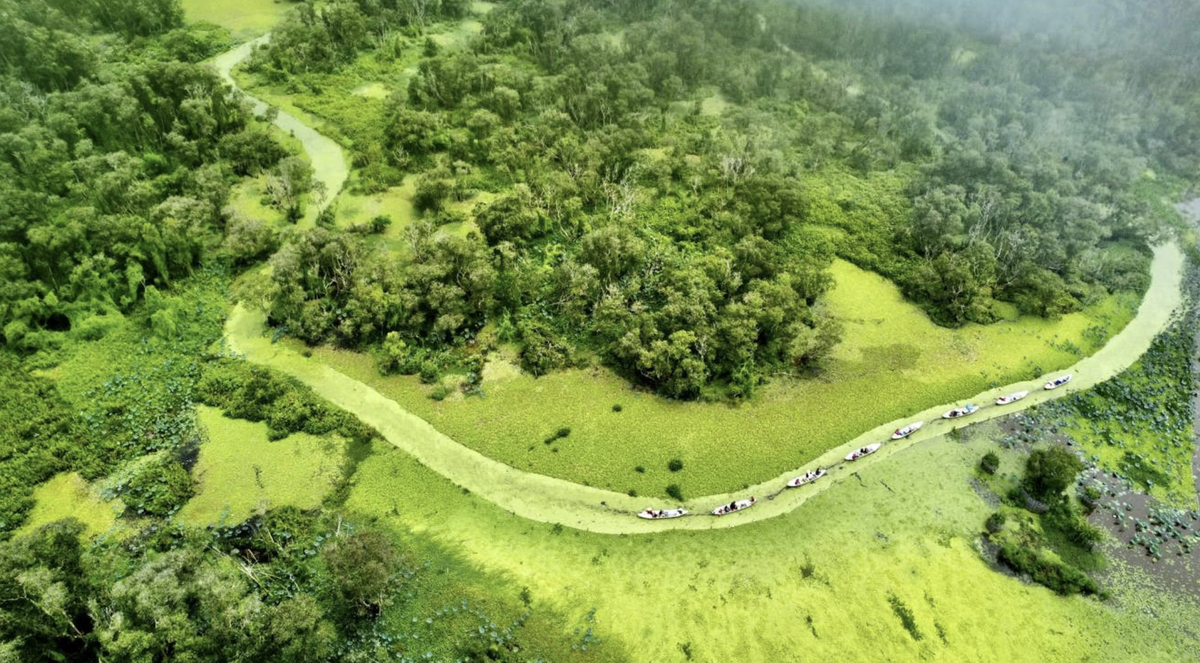 Trà Sư giật spotlight vị trí dẫn đầu trong “Top 50 Điểm đến du lịch hấp dẫn năm 2024”.