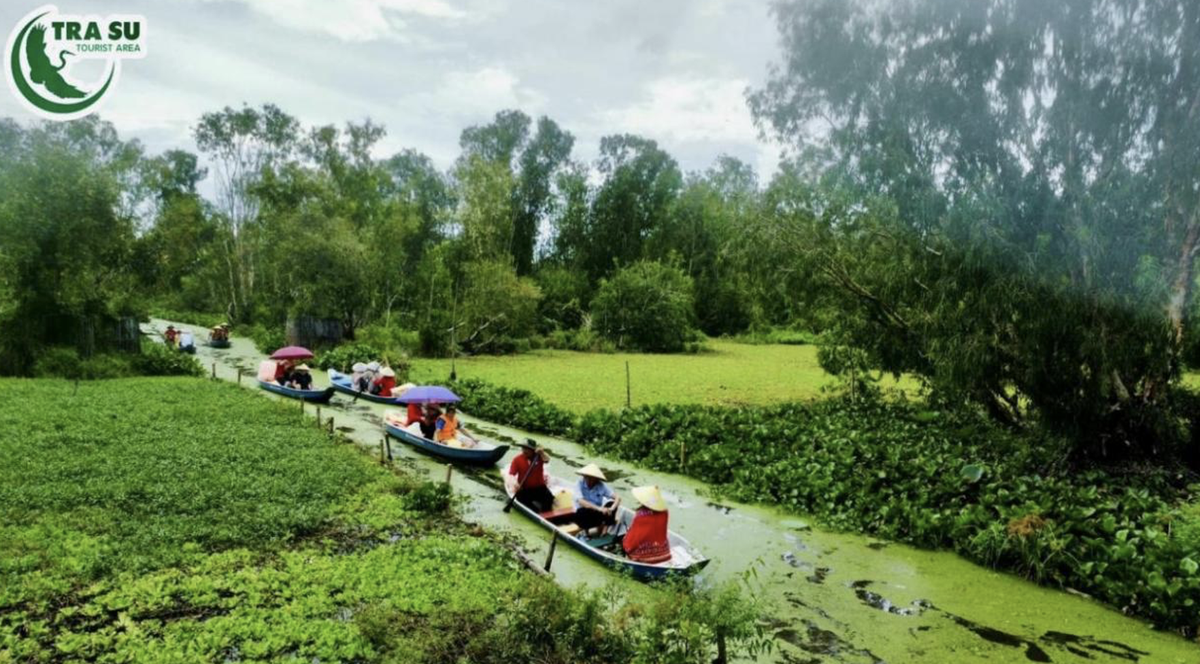 Bảng màu xanh thanh bình của thiên nhiên Trà Sư.