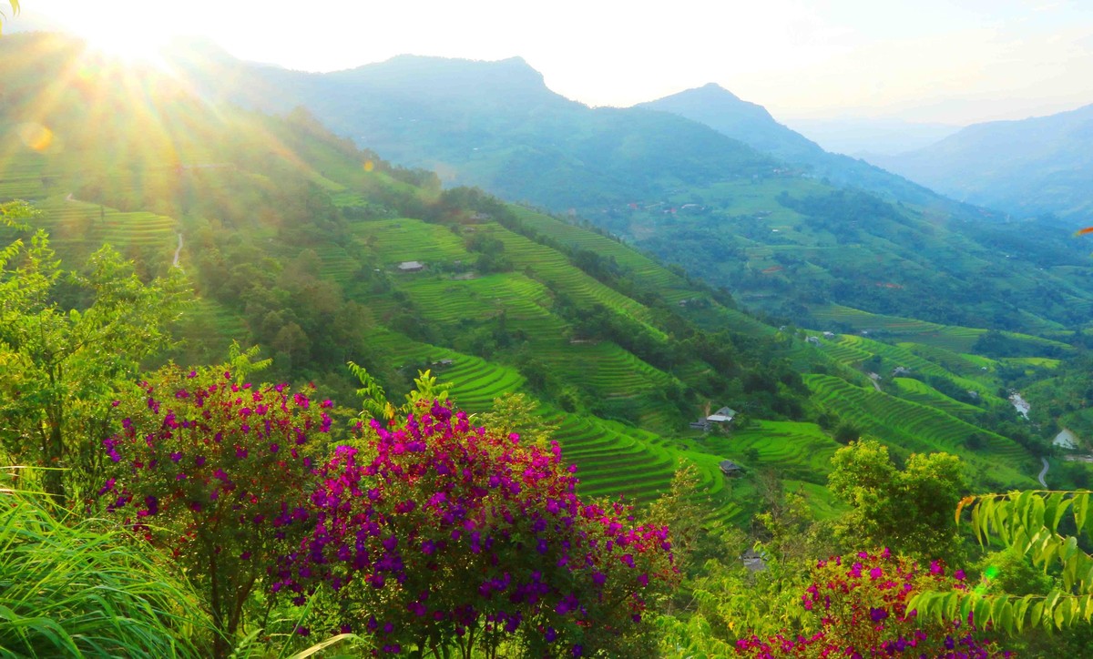 Những cánh đồng ruộng bậc thang trải dài theo sườn núi Những cánh đồng ruộng bậc thang trải dài theo sườn núi